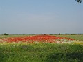 20040531_ 003